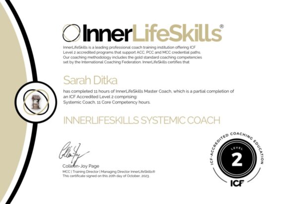 systems coach certificate