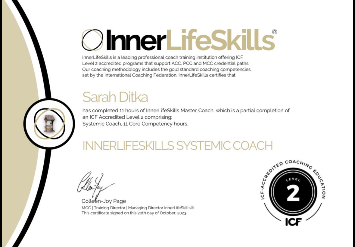 systems coach certificate